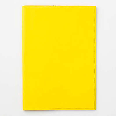 Morpho_Colors_Shimomura_yellow-2