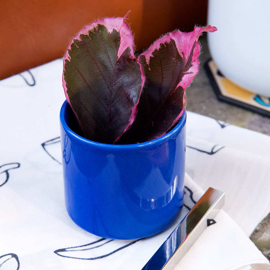 Arita_2016_Porcelain_TomasAlonso_TA003_2