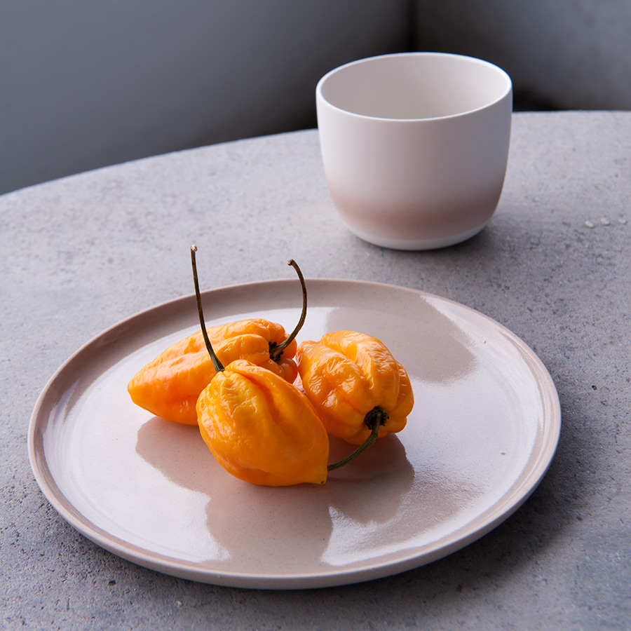 Arita_KirstieVanNoort_Plate160_greyclay_2