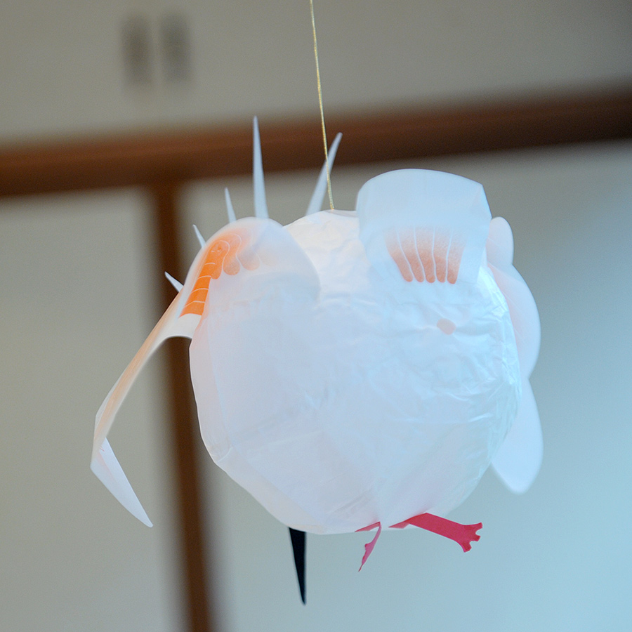 Japanproxy_KF_Crane-Bird_2