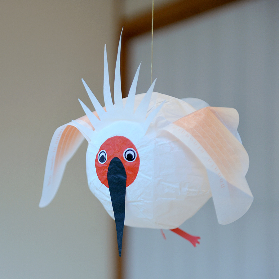 Japanproxy_KF_Crane-Bird_3