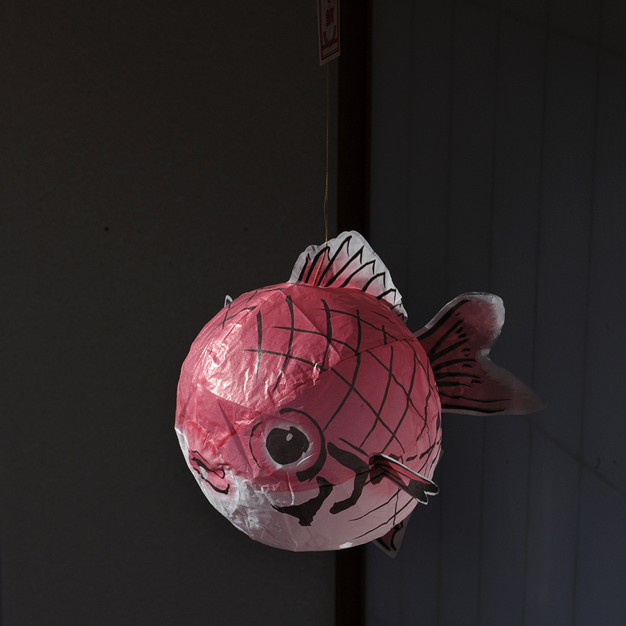 Japanproxy_KF_Omedetai_2