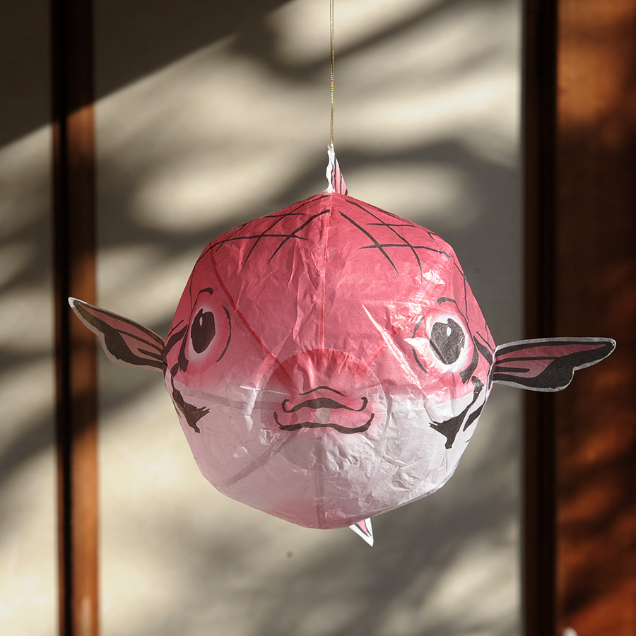 Japanproxy_KF_Omedetai_3