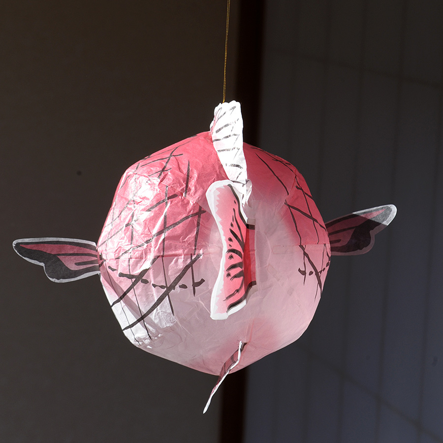 Japanproxy_KF_Omedetai_5